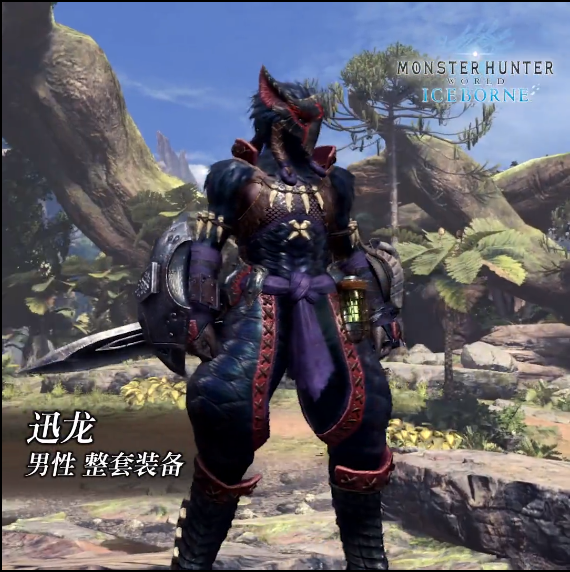 《怪物猎人：世界》冰原dlc大师等级防具-迅龙男装视频分享