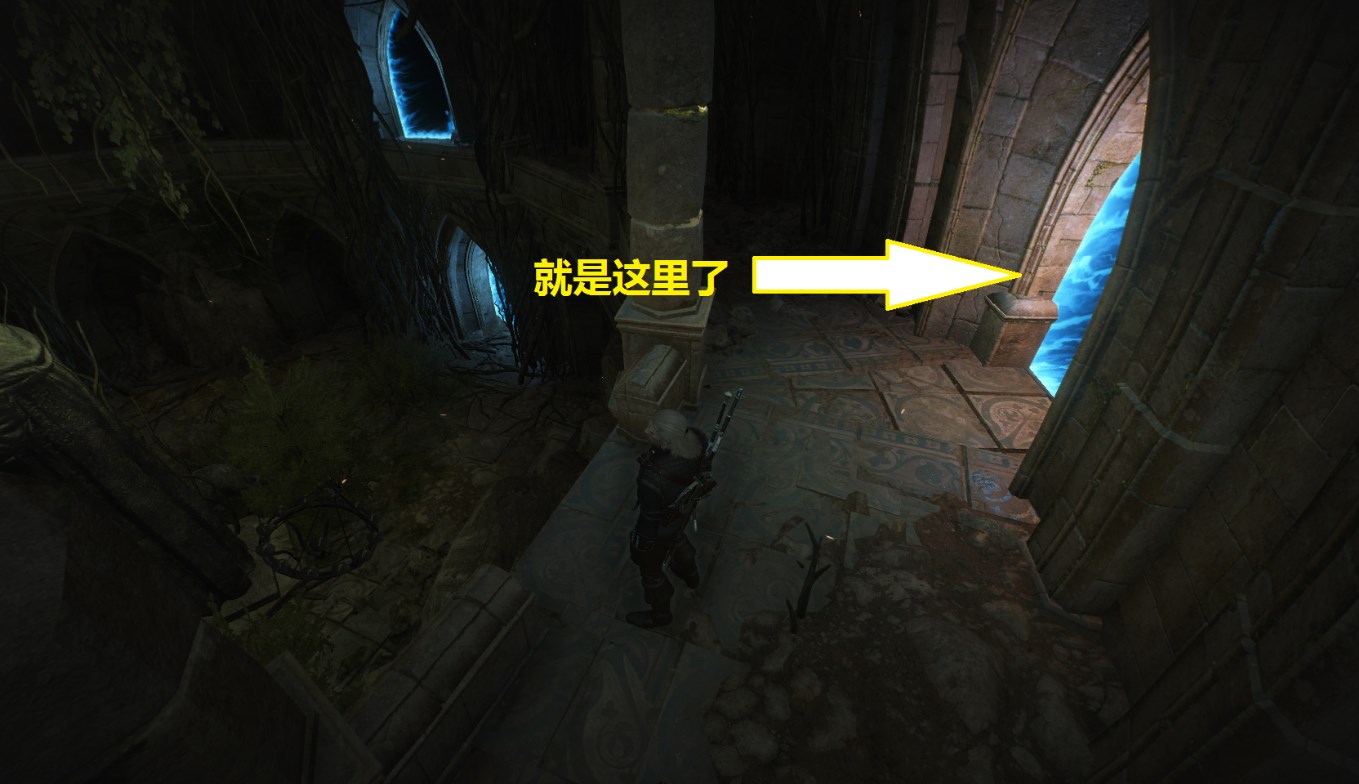 巫师3面对改变传送门