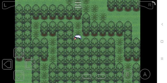 究极绿宝石3mega石地点