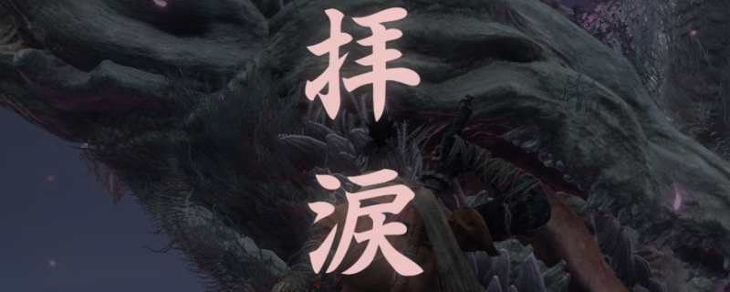 只狼最后皇子在哪