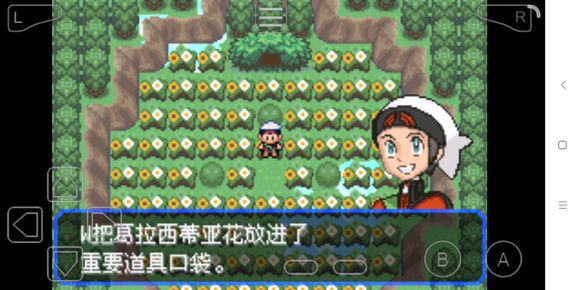究极绿宝石3mega石地点