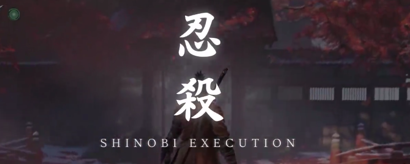 只狼苇名十字斩