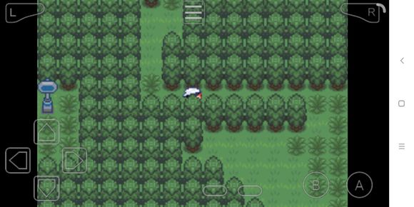 究极绿宝石3mega石地点