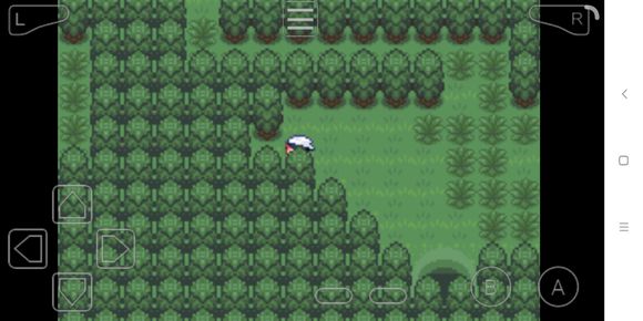 究极绿宝石3mega石地点