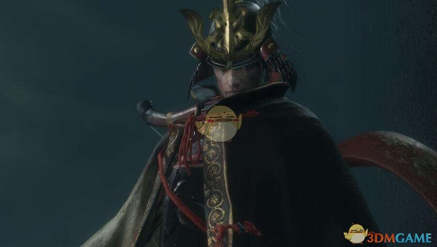 《只狼：影逝二度》药丸描述介绍
