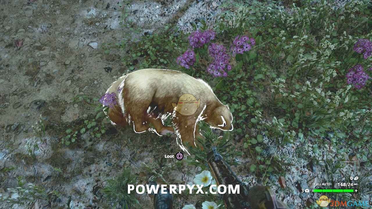 《孤岛惊魂：新曙光》狼獾狩猎位置指南
