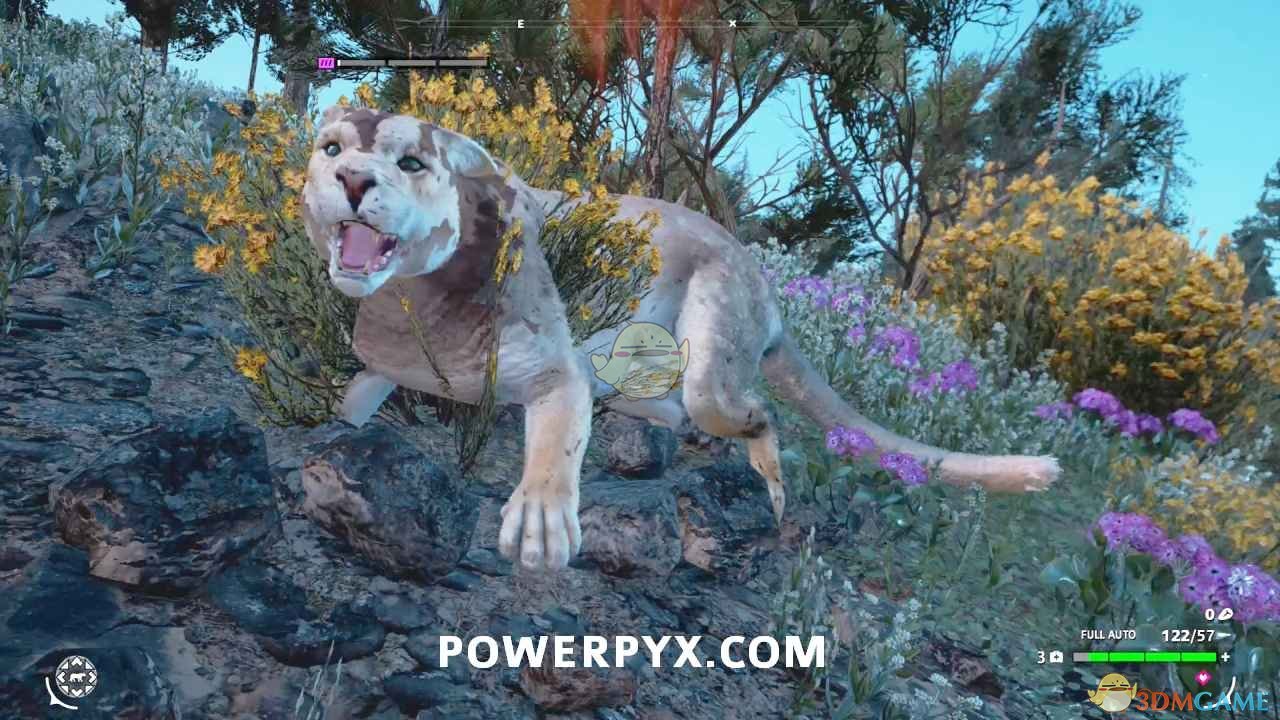 《孤岛惊魂：新曙光》美洲狮狩猎位置指南