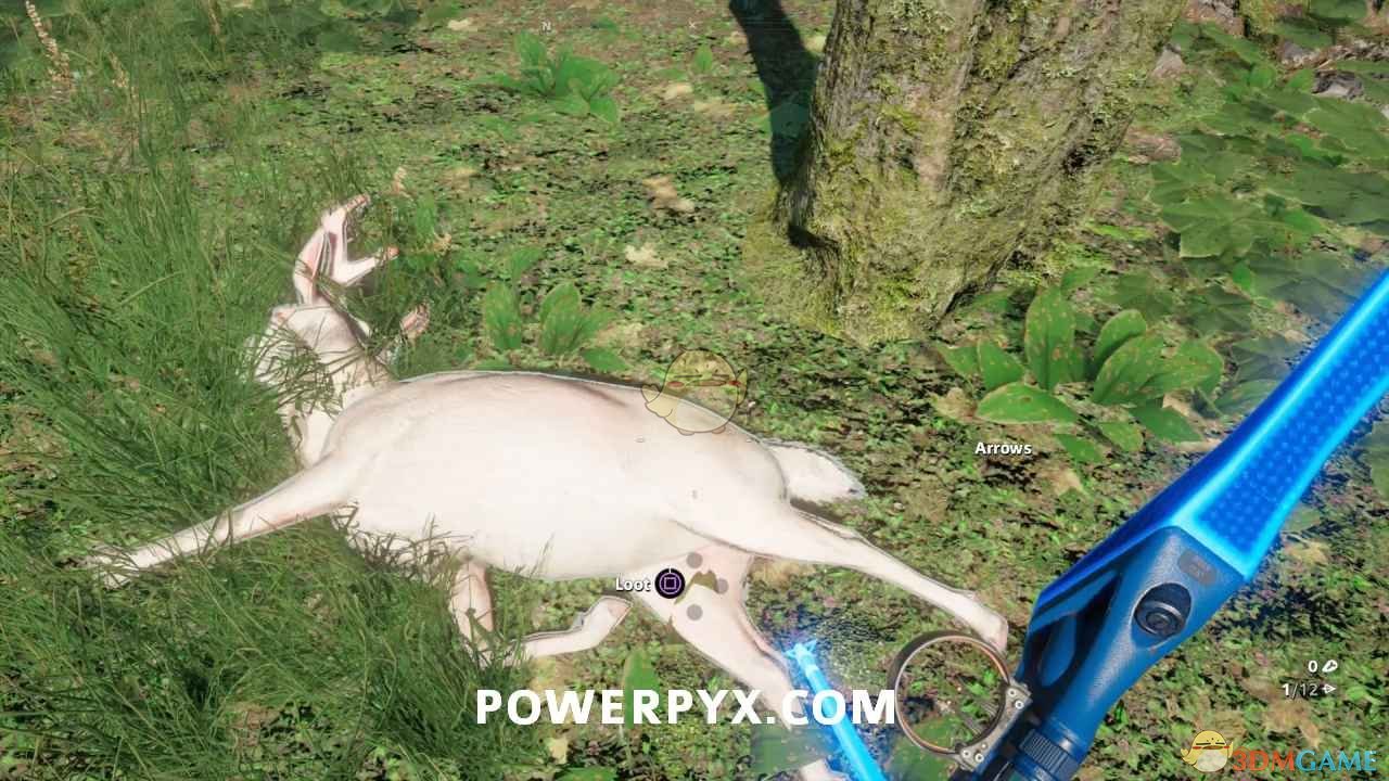 《孤岛惊魂：新曙光》鹿狩猎位置指南