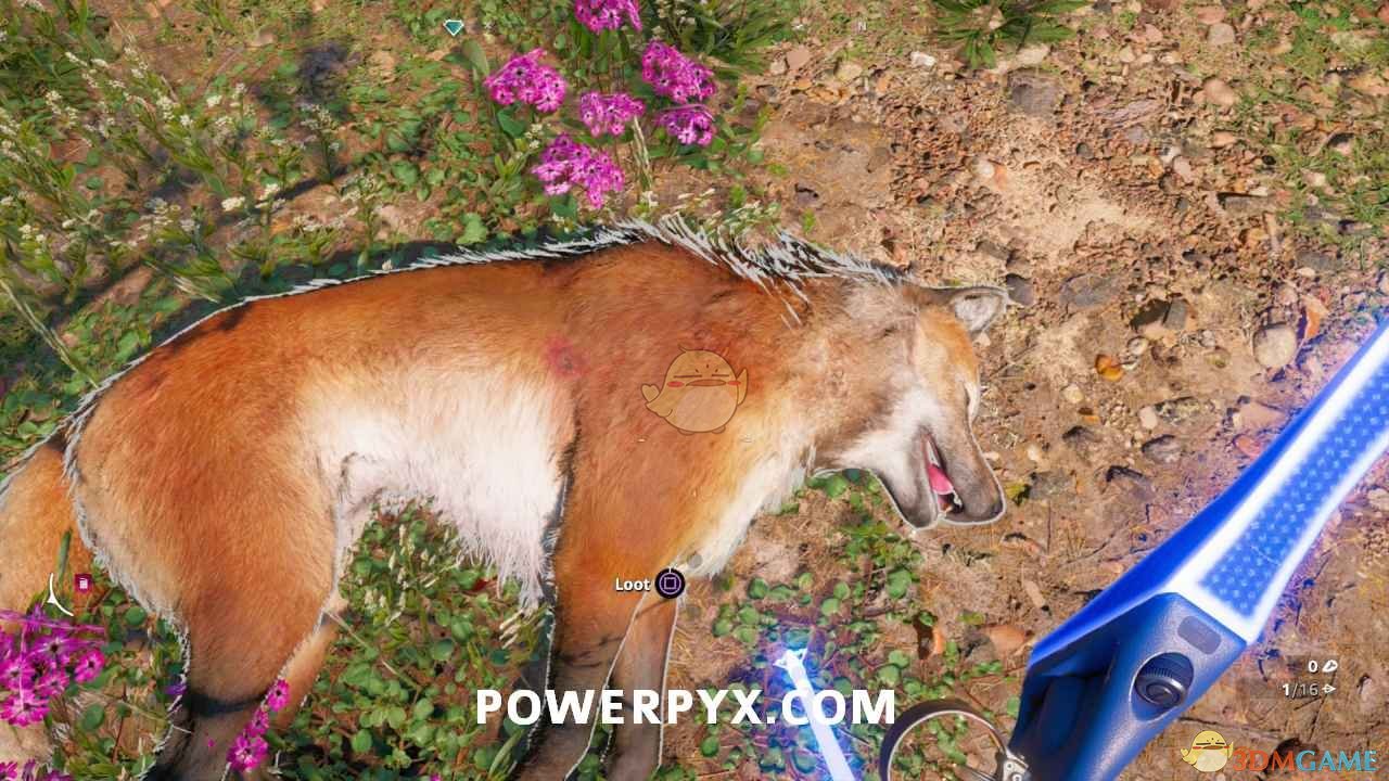 《孤岛惊魂：新曙光》狼狩猎位置指南