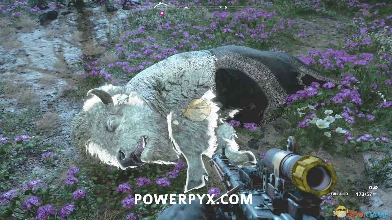 《孤岛惊魂：新曙光》野牛狩猎位置指南