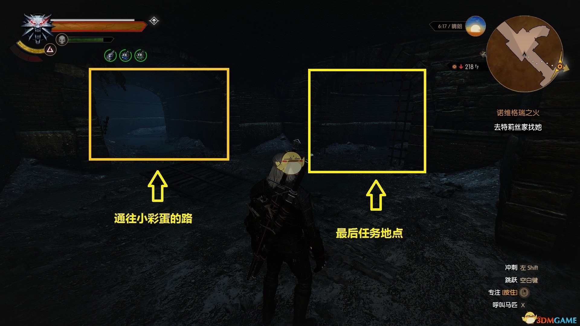 《巫师3：狂猎》尼佛加德的秘密信息任务攻略分享