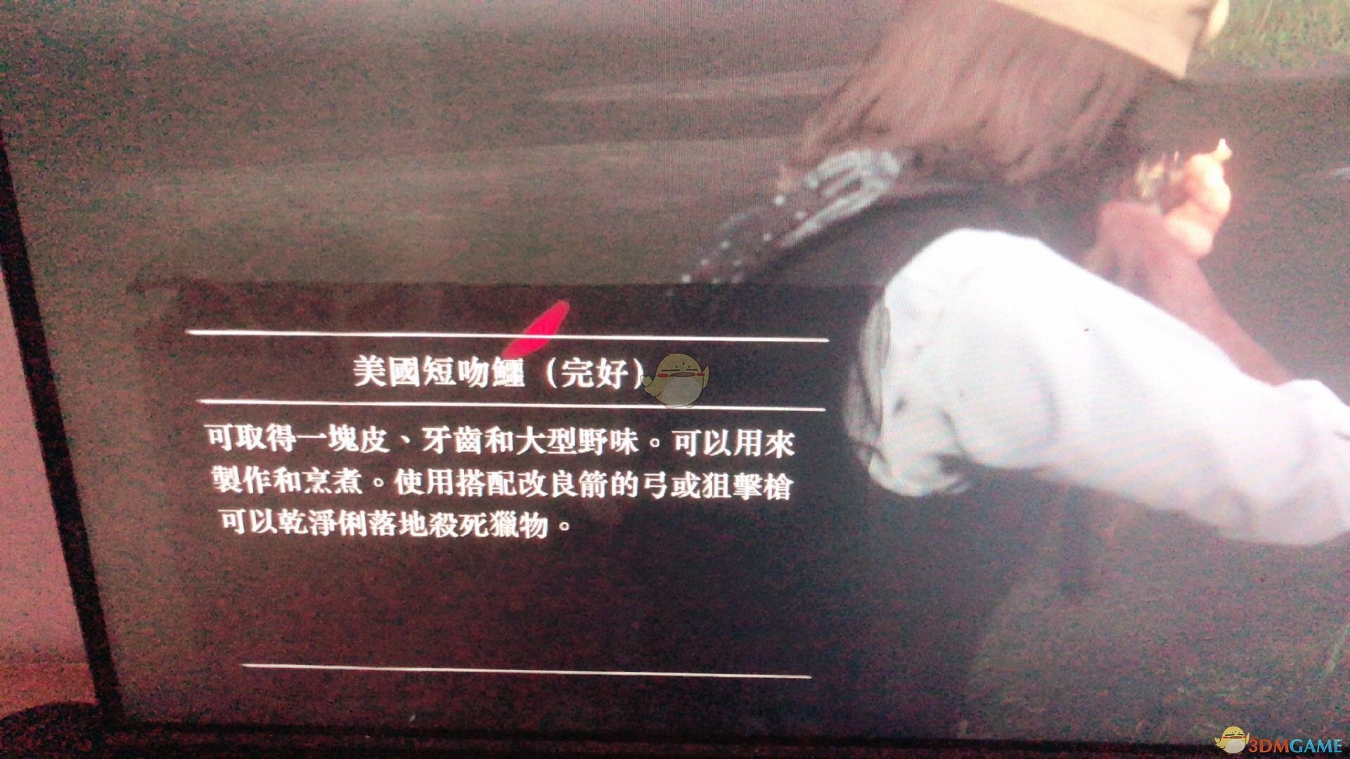 《荒野大镖客2》必出完美皮方法介绍
