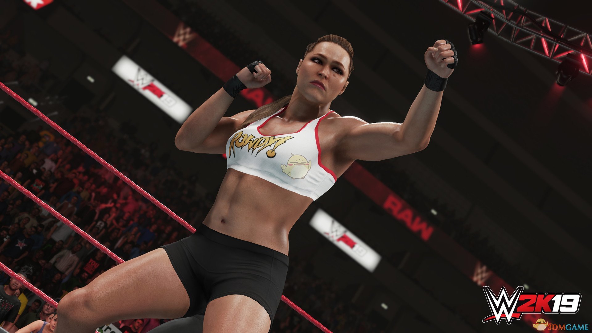 《WWE 2K19》完整阵容名单一览