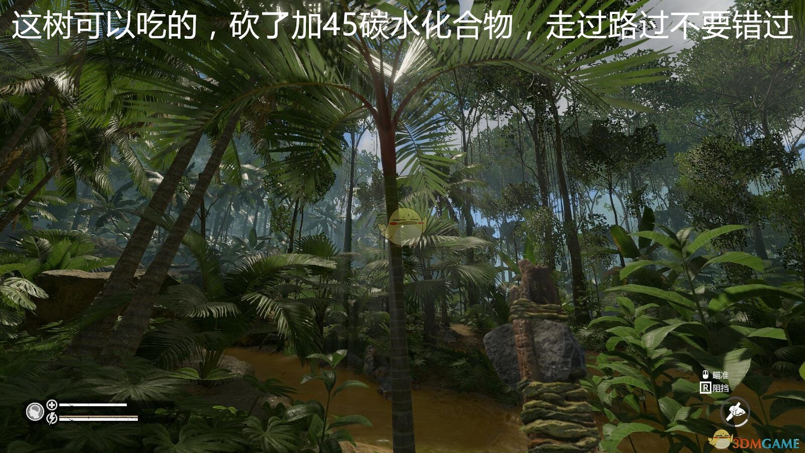 《绿色地狱》特殊地点坐标位置一览