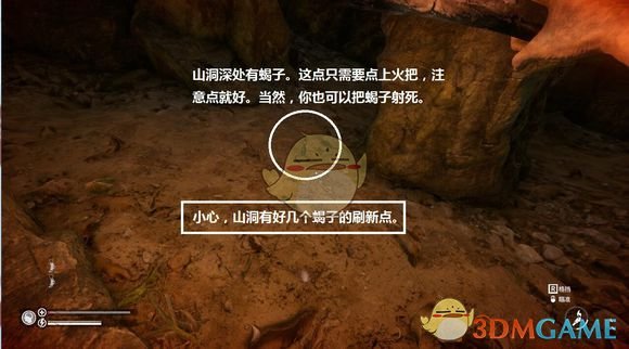 《绿色地狱》住所选哪好 不担心野人的住所推荐