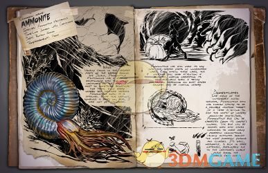 《方舟：生存进化》菊石详细信息介绍 菊石是什么生物