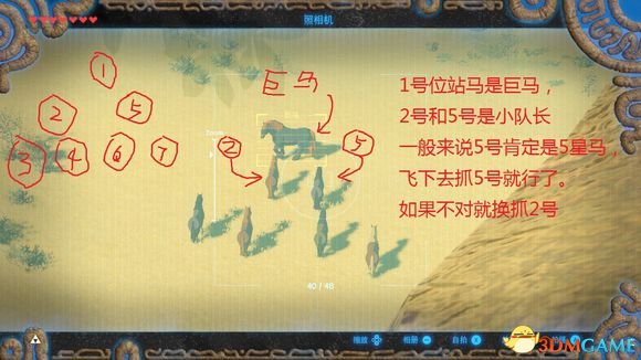 塞尔达传说顶级野马怎么抓到 抓到顶级野马方法