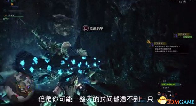 怪物猎人世界奇珍异兽捕捉攻略