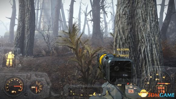 3dmgame