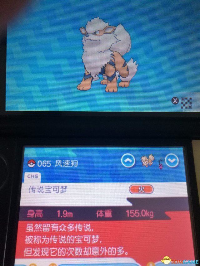精灵宝可梦究极日月鲜为人知的细节分享