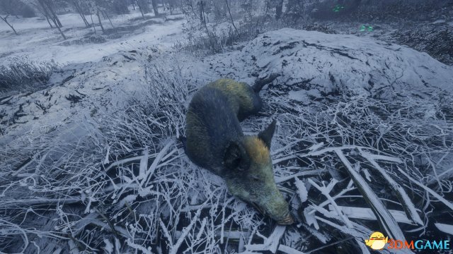 猎人荒野的呼唤dlc梅德韦泰嘉国家公园简单测评
