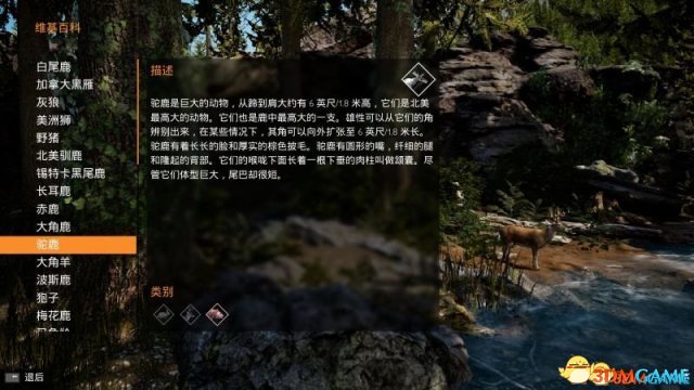 模拟狩猎全猎物介绍一览 模拟狩猎有哪些猎物