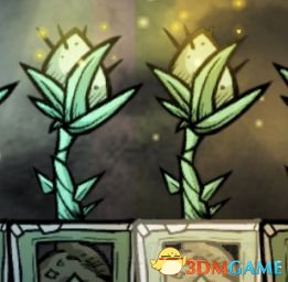 缺氧作物自动收获怎么弄 缺氧作物自动收获设置技巧