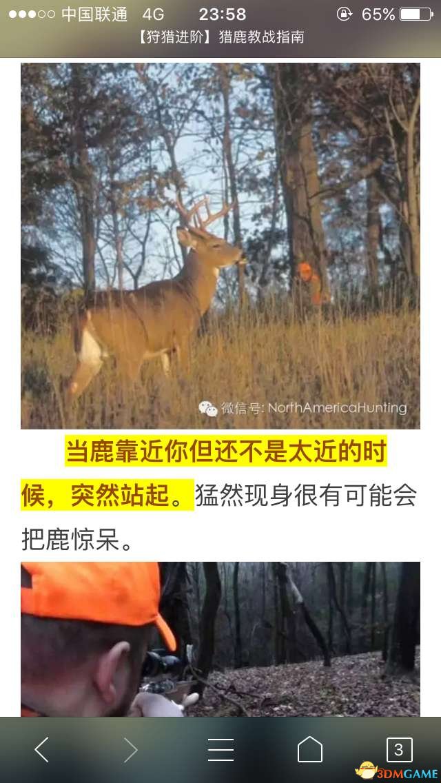 猎人野性的呼唤新手实用攻略 猎人野性的呼唤实用技巧