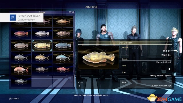 Murk Grouper深渊石斑鱼
