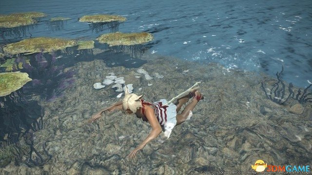 蛙泳