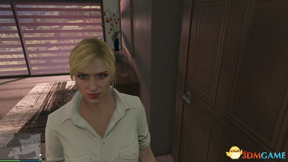 侠盗猎车5GTA5PC版 在线版原创人物皮肤出问题解决