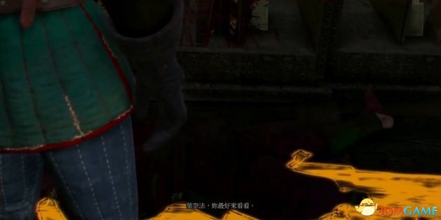 巫师3最后的愿望解析