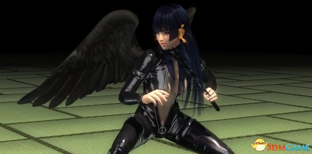 死或生5最后一战 女角色女天狗三点全果版 福利向MOD