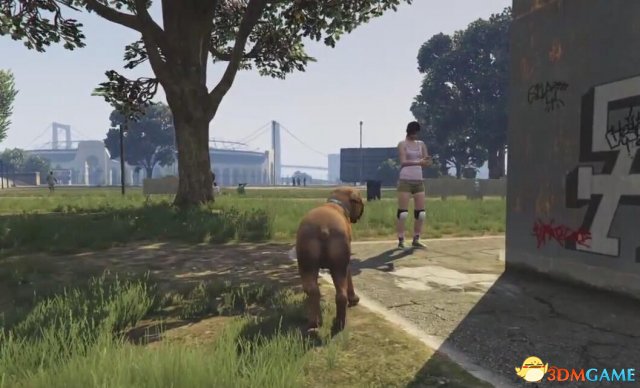 侠盗猎车5GTA5 PS4版独有稀奇动物变身玩法视频分享