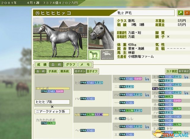 赛马大亨8 初期规划配马实用心得汇总 怎么规划配马