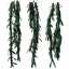 vines.png vines.png