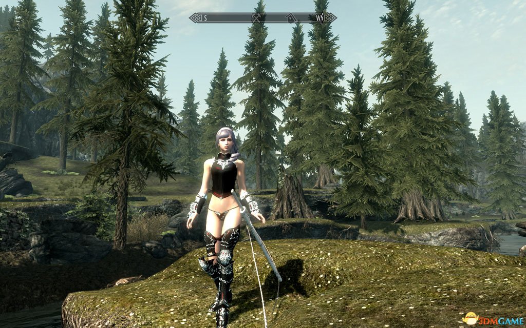 NOREL001.jpg NOREL001.jpg