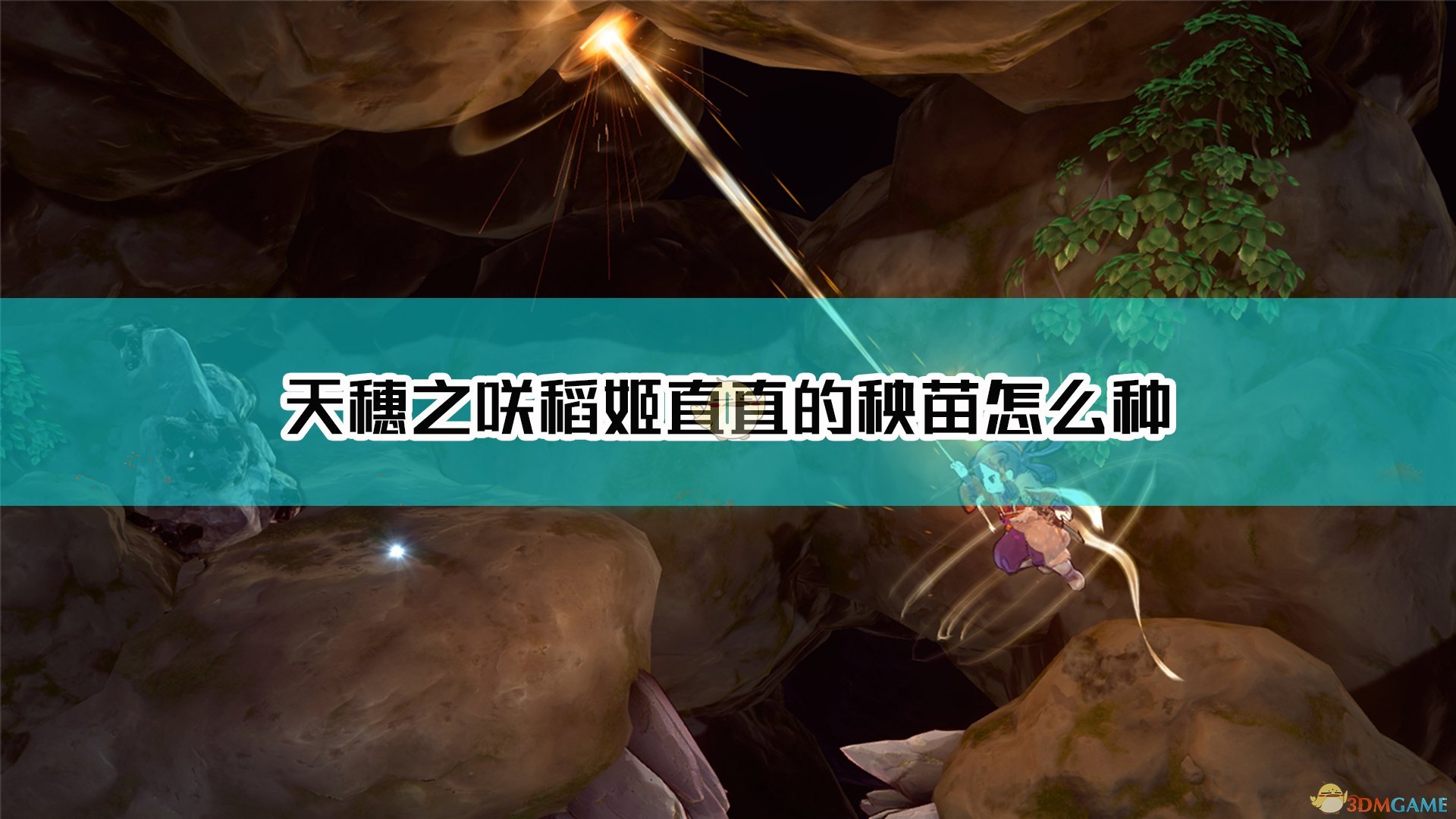 《天穗之咲稻姬》直直的秧苗种植方法介绍