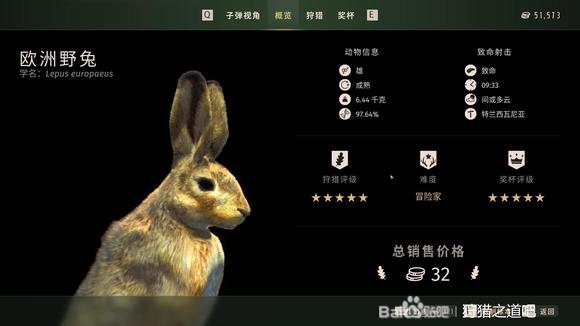 狩猎之道五星欧洲野兔怎么捕猎