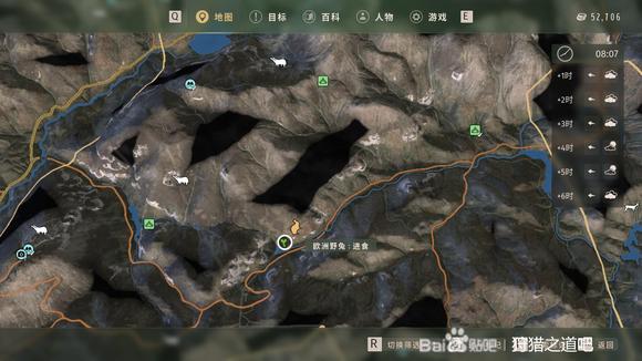 狩猎之道五星欧洲野兔怎么捕猎